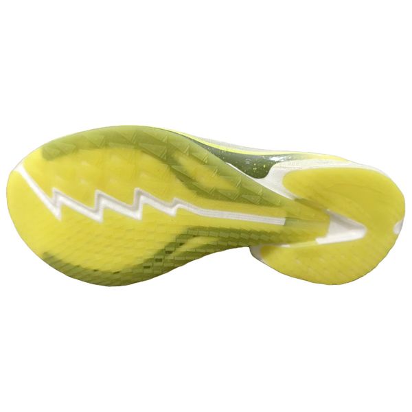 Anta