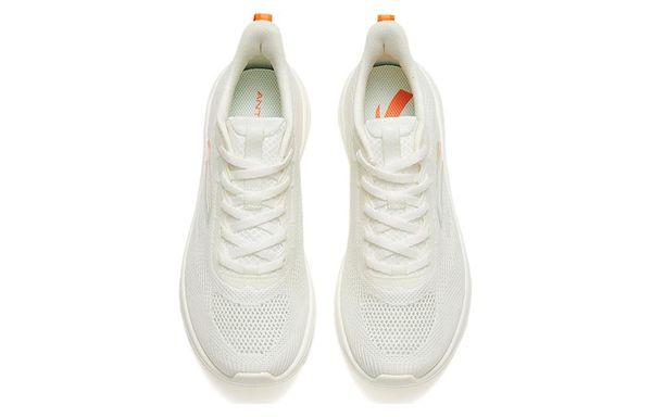 Anta