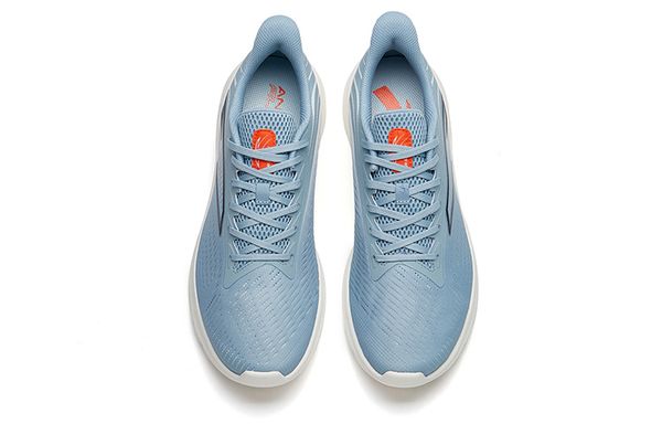 Anta