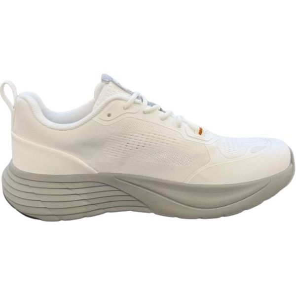 Anta