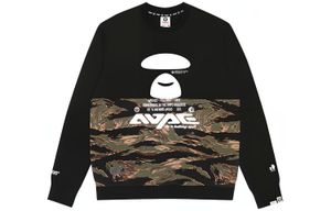 Aape