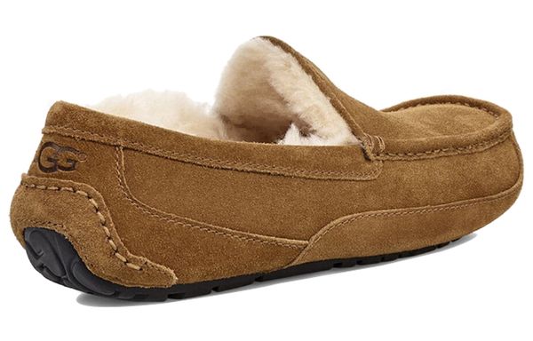 UGG Ascot ()
