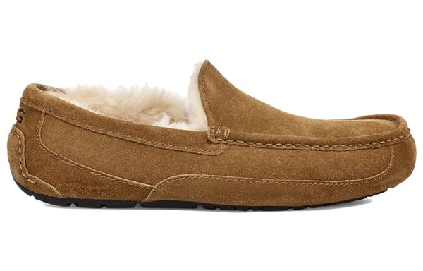 UGG Ascot ()
