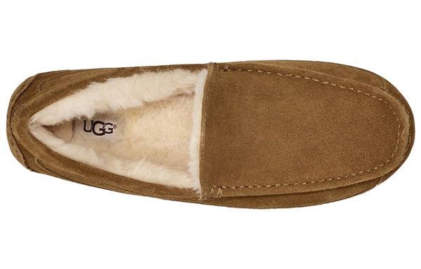 UGG Ascot ()