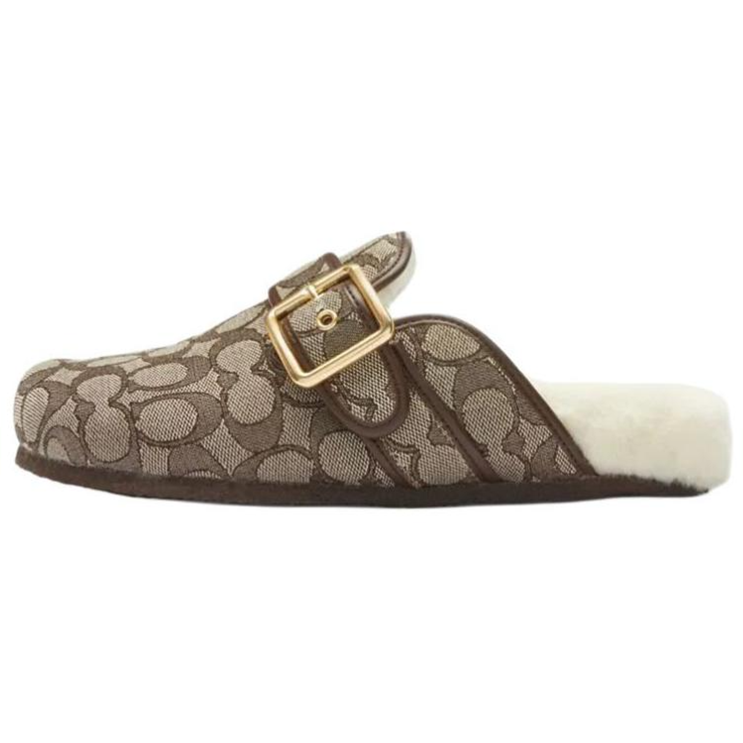 COACH Ashton