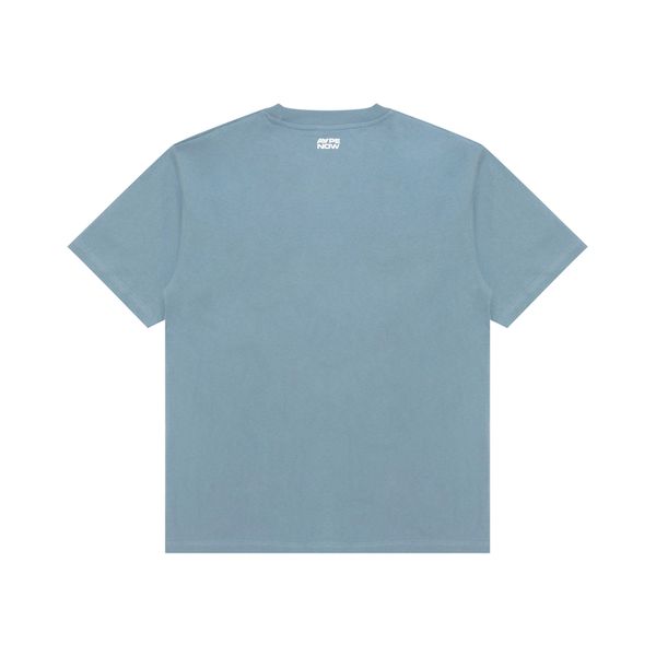 Aape T