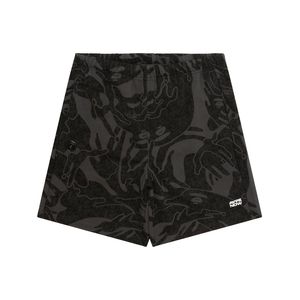 Aape