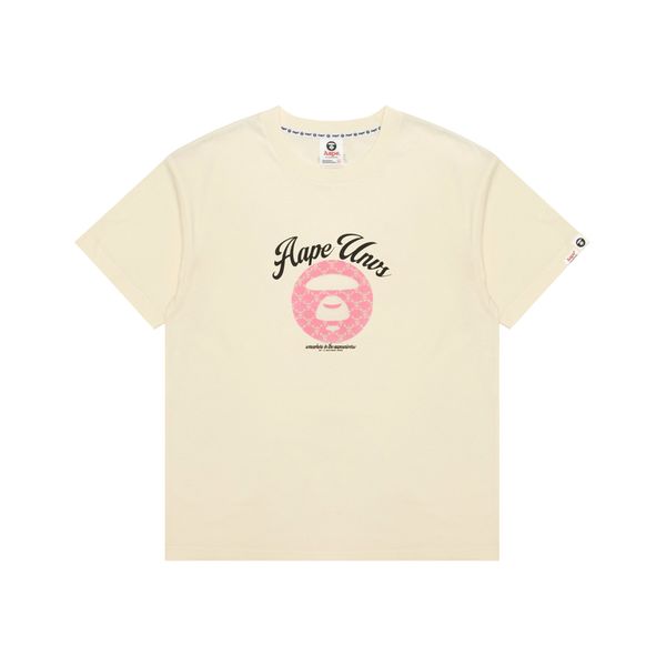 Aape T