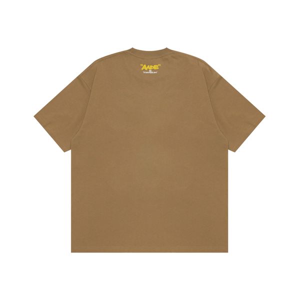 Aape T