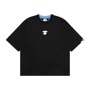 Aape T