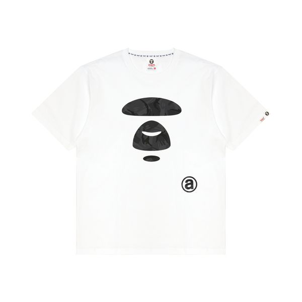 Aape T