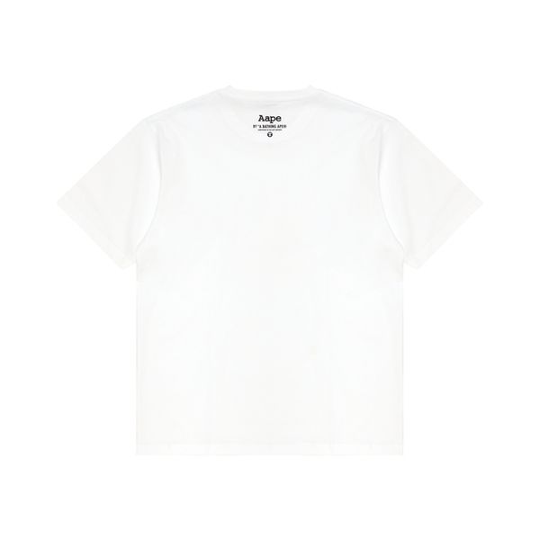 Aape T