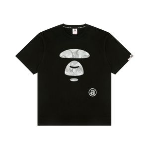 Aape T