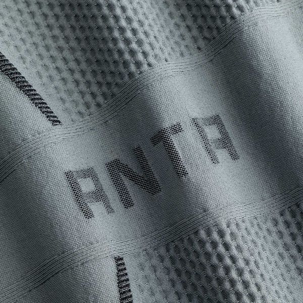 Anta