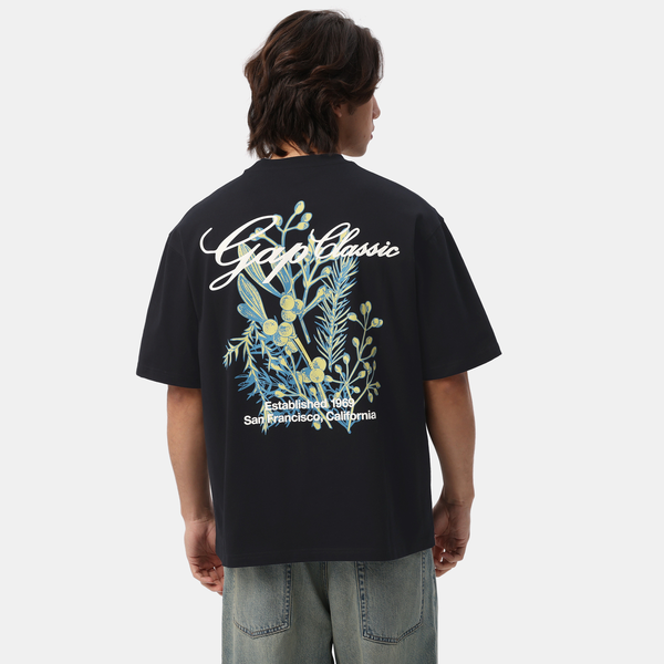 GAP T
