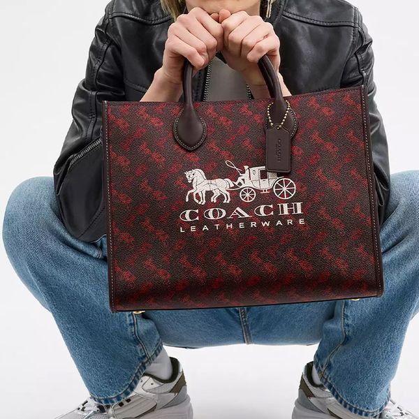 COACH Ace