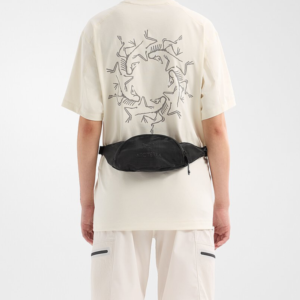 Arcteryx 3L