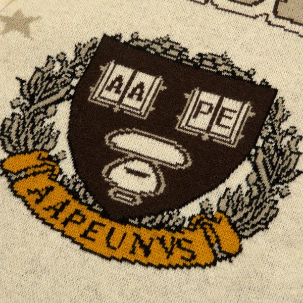 Aape IVQ