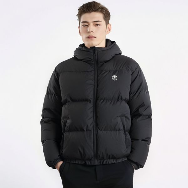 Aape