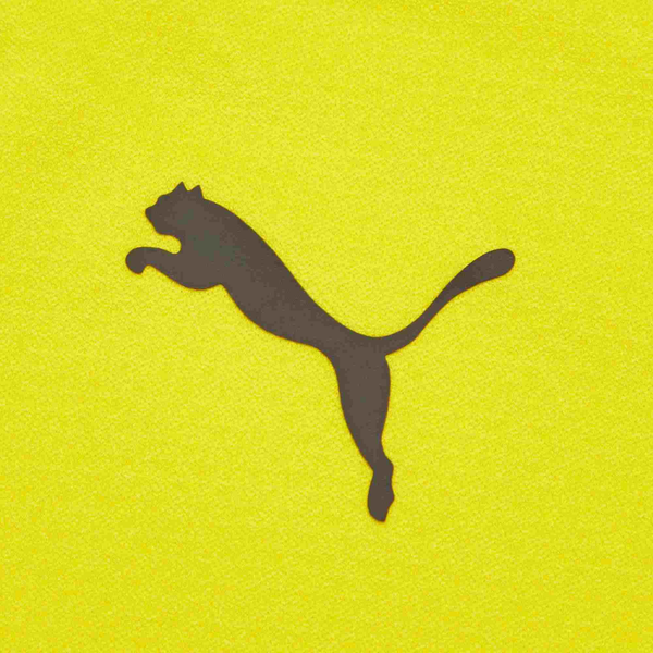 PUMA BVB