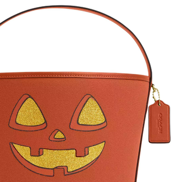 COACH Canvas