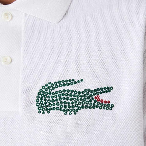 LACOSTE Collaboration