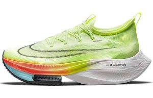 Nike Air Zoom Alphafly Next 1