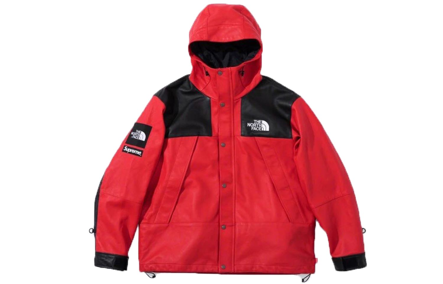 Supreme x /THE NORTH FACE  FW18    