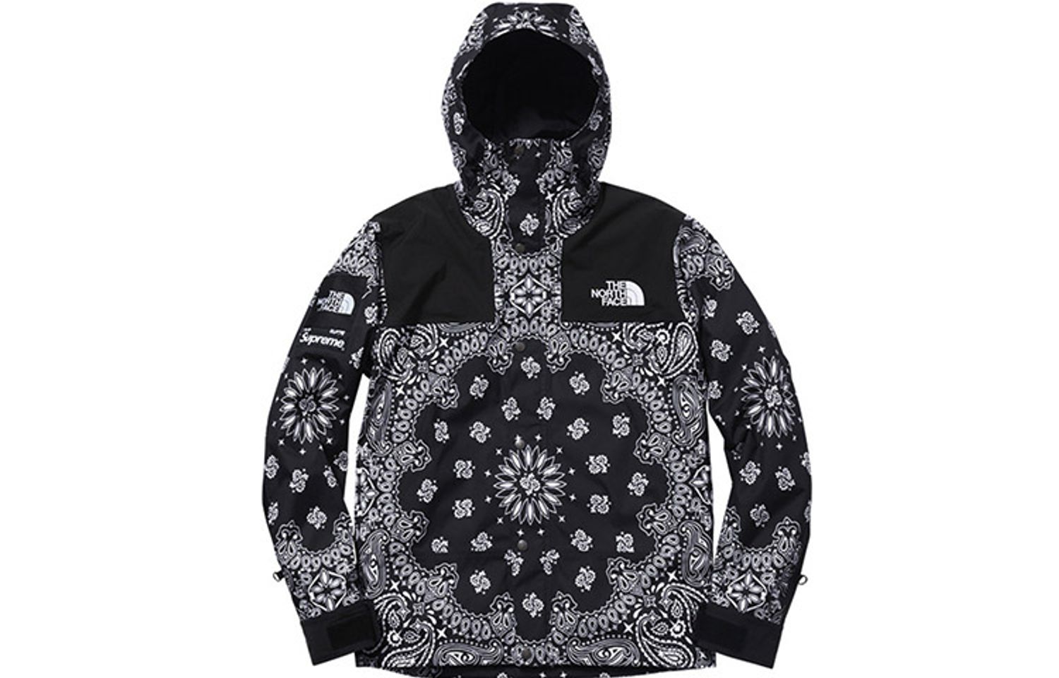 Supreme x /THE NORTH FACE  TNF   