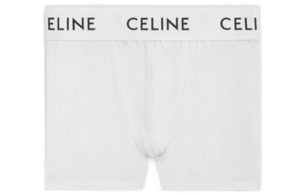 CELINE FW22 Logo  1