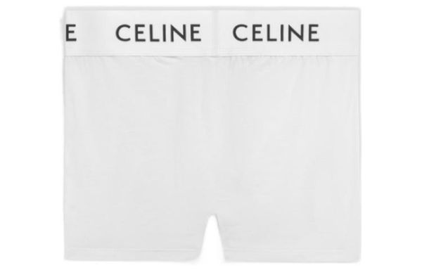CELINE FW22 Logo  1