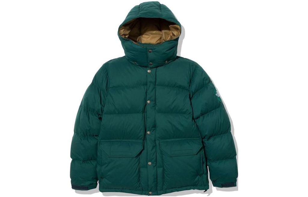 THE NORTH FACE CAMP Sierra Short Logo  
